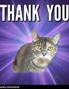 Image result for Thank You Cat Meme