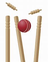 Image result for Cricket Stumps Clip Art PNG