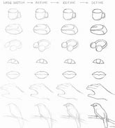 Image result for Basic Drawing Practice