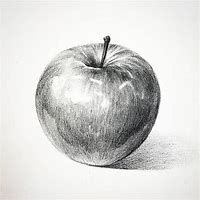 Image result for Shaded Apple