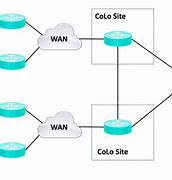 Image result for Wan