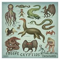 Image result for Top 10 Cryptids