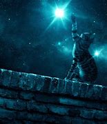 Image result for Black Cat Space Wallpaper