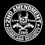 Image result for Bill of Rights 2nd Amendment Cartoon