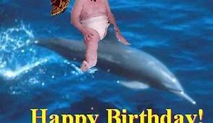Image result for Dolphin Birthday Meme