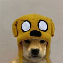 Image result for Dog with Hat Gang
