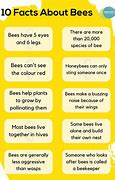 Image result for Fun Facts About Bees