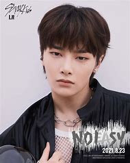 Image result for Stray Kids Rizz