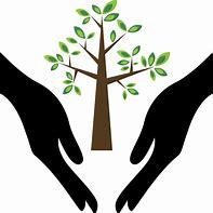 Image result for Hand Holding Tree Clip Art