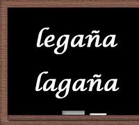 Image result for legaña