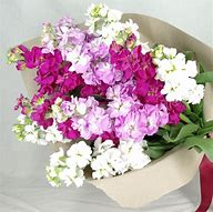 Image result for Send a Bunch Flowers