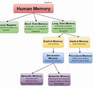 Image result for Human Memory Types