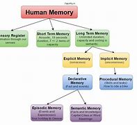 Image result for Examples of Types of Memory