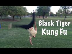 Image result for Black Tiger Kung Fu