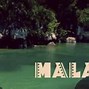 Image result for malaue
