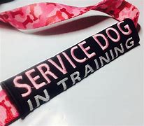 Image result for Wrap around Body Dog Leash