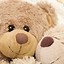 Image result for Teddy Bear Wallpaper iPhone