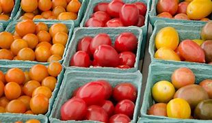 Image result for Local Farmers Market