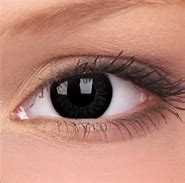 Image result for Diffrent Colored Eyes Black and White