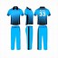 Image result for Cricket Wear Design