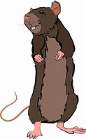 Image result for Animated Rat PNG