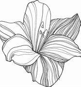 Image result for Clip Art Drawing of Flowers