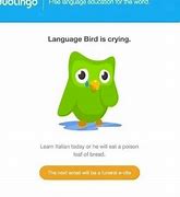 Image result for Duolingo Chan Memes