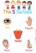 Image result for 5 Senses Chart for Kids