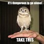 Image result for Squashed Owl Meme