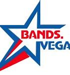 Image result for Las Vegas Bands