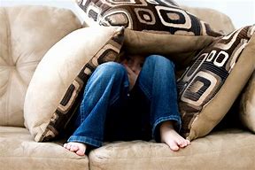 Image result for Guy Pillow Hide