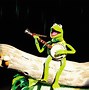 Image result for Crazy Kermit the Frog Quotes