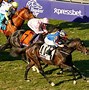Image result for Top Turf Teddy Picture Breeders' Cup