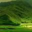 Image result for Green Android Wallpaper