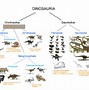 Image result for Size Comparison Chart Largest Animals