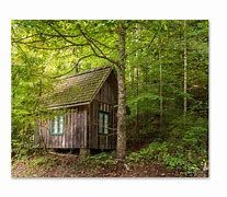 Image result for Cabin Rustic Wall Murals