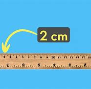 Image result for 1Cm Long Things