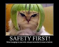 Image result for Funny Safety Images