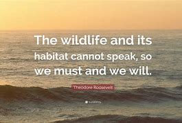 Image result for Animal Conservation Quotes