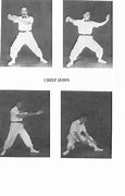 Image result for Tai Chi Punches