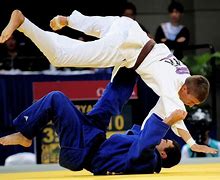 Image result for Judo Wrestling