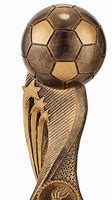 Image result for All Football Trophies
