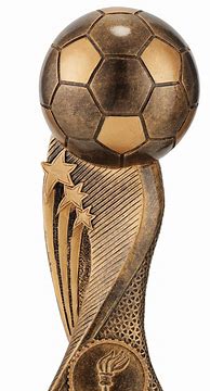 Image result for Football Trophies
