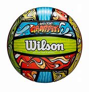 Image result for Wilson Volleyball