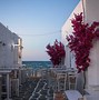 Image result for Paros Greece Nightlife