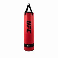 Image result for Punching Bag