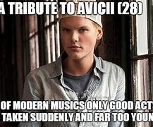 Image result for Avicii Memes