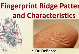 Image result for Fingerprint Ridges