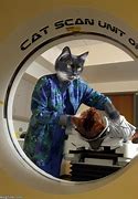 Image result for Cat Scan Funny Cartoons