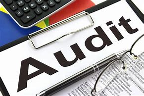 Image result for Internal Audit ClipArt